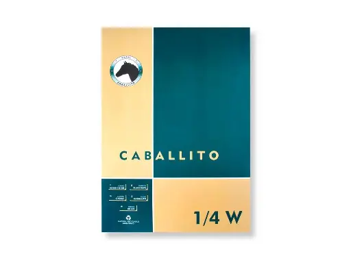 [55976564] Block 1/4 w 100 g Caballito - 10 hojas